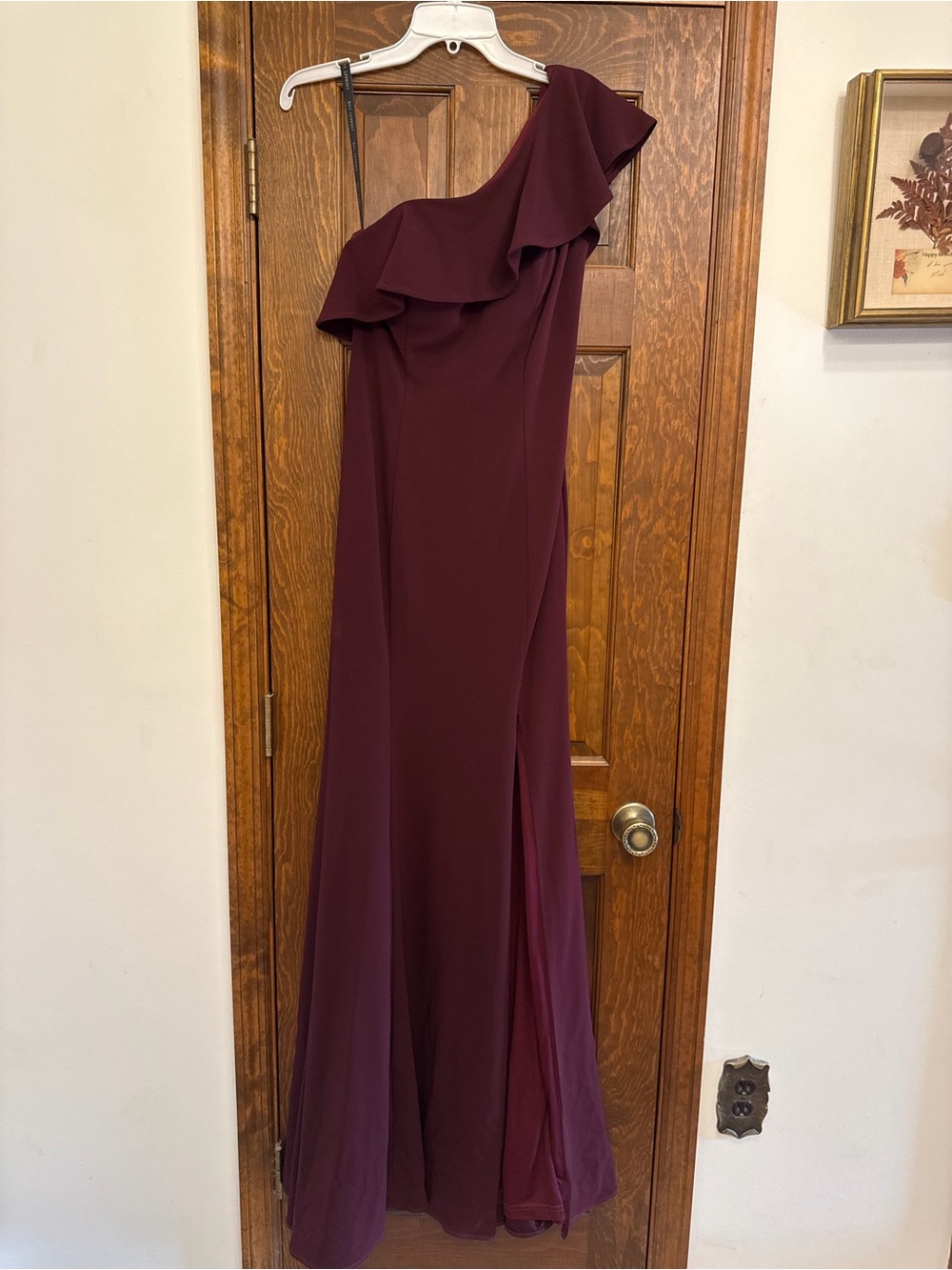 Bill Levkoff One-Shoulder Gown in Burgundy/Wine